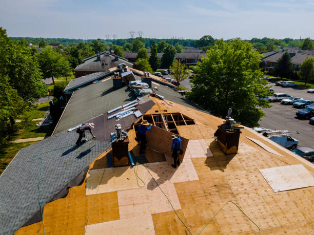 Quick and Trustworthy Emergency Roof Repair Services in La Paloma, TX