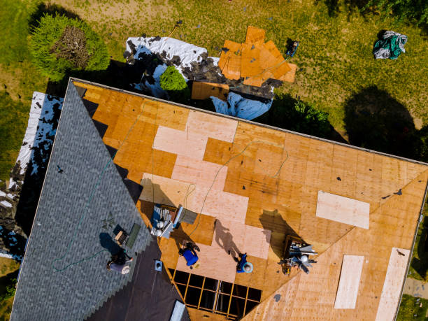 Best Tile Roofing Contractor  in La Paloma, TX
