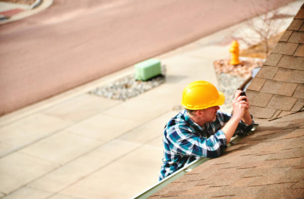 Best Local Roofing Companies  in La Paloma, TX