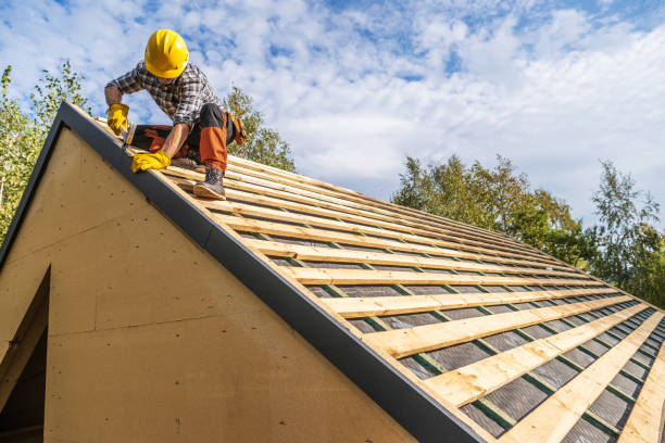 Best Roof Gutter Cleaning  in La Paloma, TX