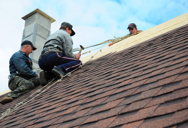 Best New Roof Installation  in La Paloma, TX