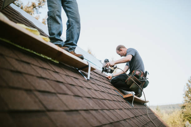 Best Metal Roofing Contractor  in La Paloma, TX