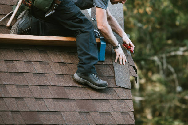 Best Shingle Roofing Installation  in La Paloma, TX